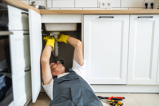 Best Residential Plumbing Services  in Brownlee Park, MI