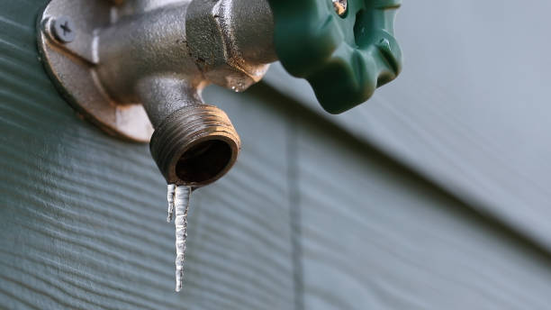 Best Hot Water Heater Installation  in Brownlee Park, MI