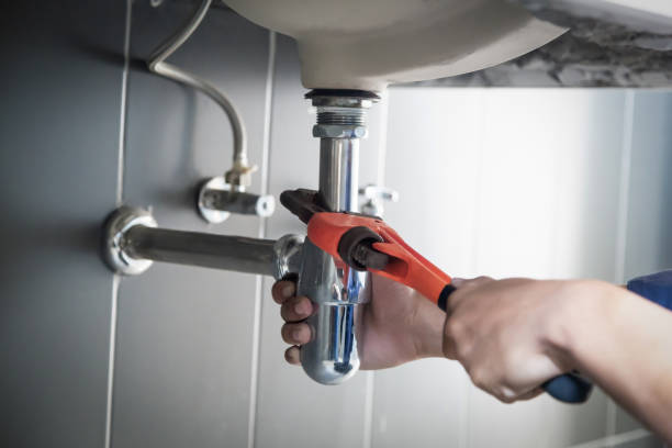 Best Emergency Plumber  in Brownlee Park, MI