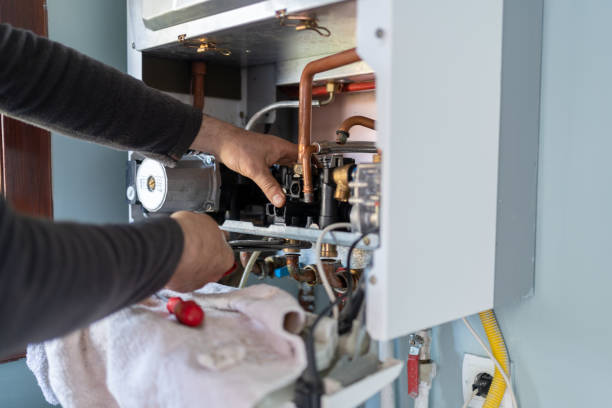 Best Affordable Plumbing Services  in Brownlee Park, MI