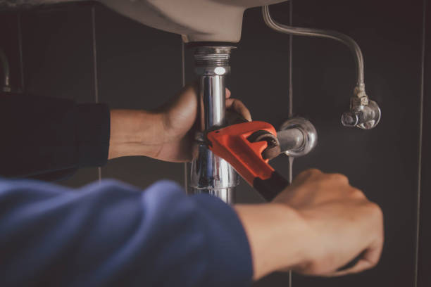 Best Sewer Line Repair  in Brownlee Park, MI