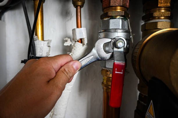 Best Water Softener Installation  in Brownlee Park, MI